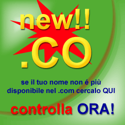 Una nuova opportunit� per avere il tuo nome in internet!